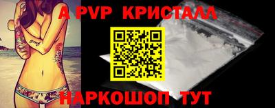 спиды Гусев