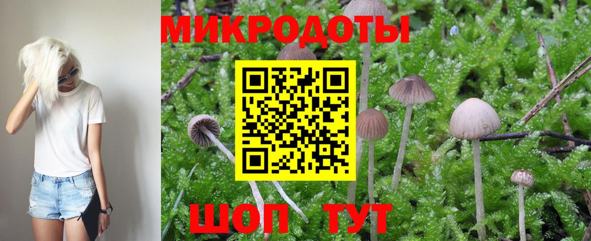 Прохладный  Галлюциногенные грибы Psilocybine cubensis  Вход с VPN 