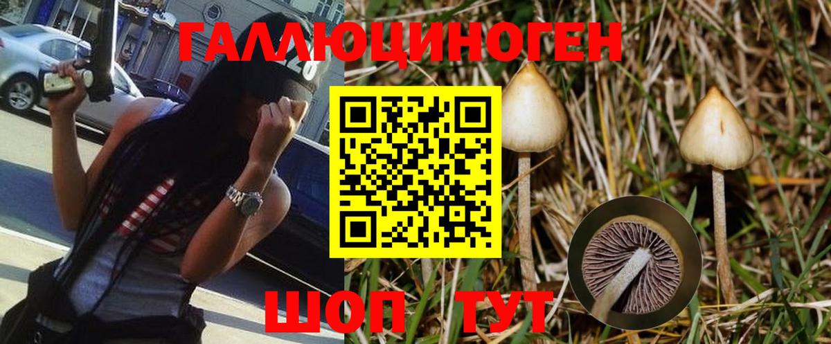 Галлюциногенные грибы ЛСД Прохладный
